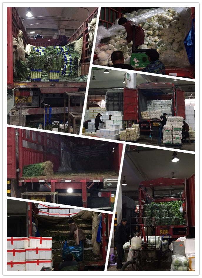 首页| J9集团国际站官方网站