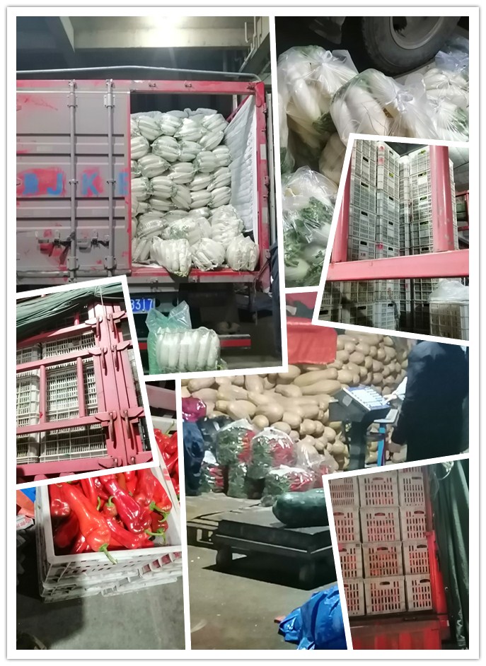 首页| J9集团国际站官方网站