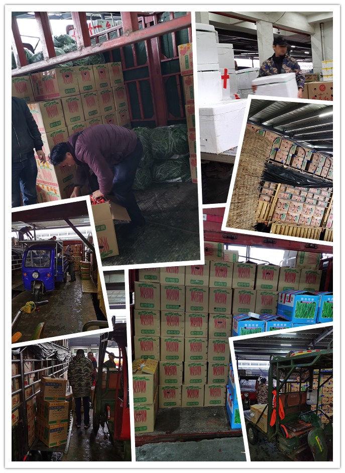 首页| J9集团国际站官方网站