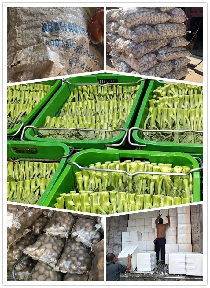 首页| J9集团国际站官方网站