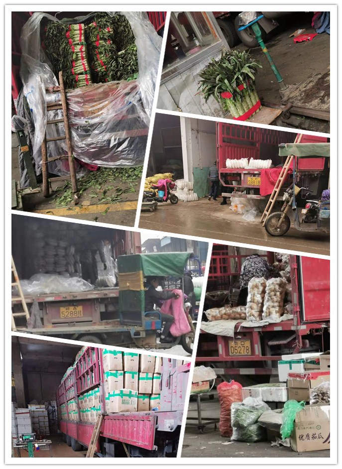 首页| J9集团国际站官方网站