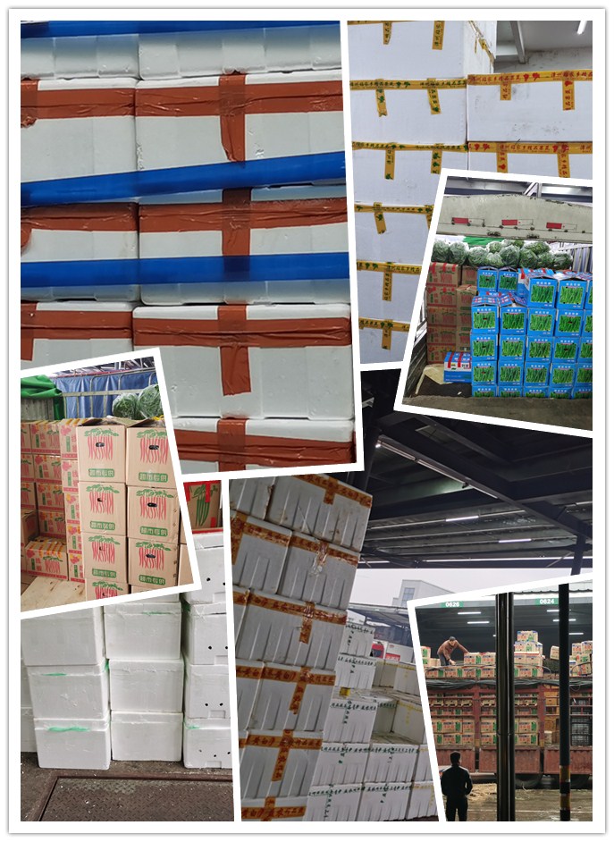 首页| J9集团国际站官方网站