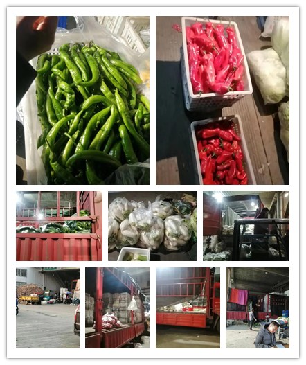 首页| J9集团国际站官方网站