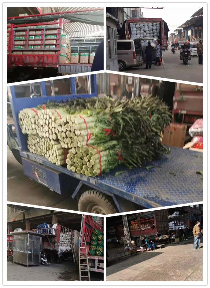 首页| J9集团国际站官方网站