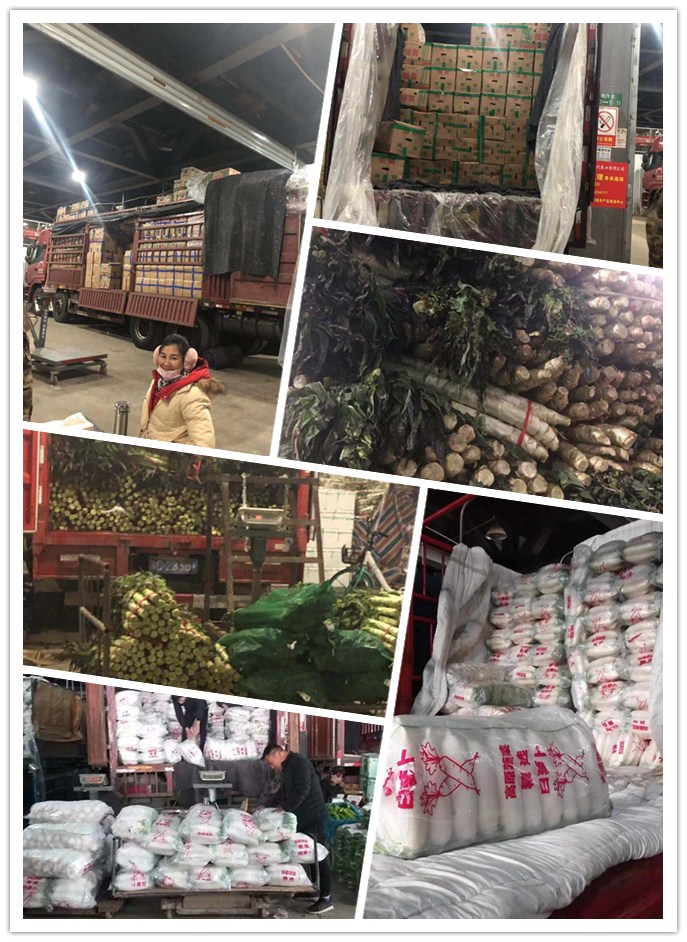 首页| J9集团国际站官方网站