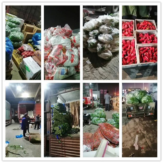 首页| J9集团国际站官方网站