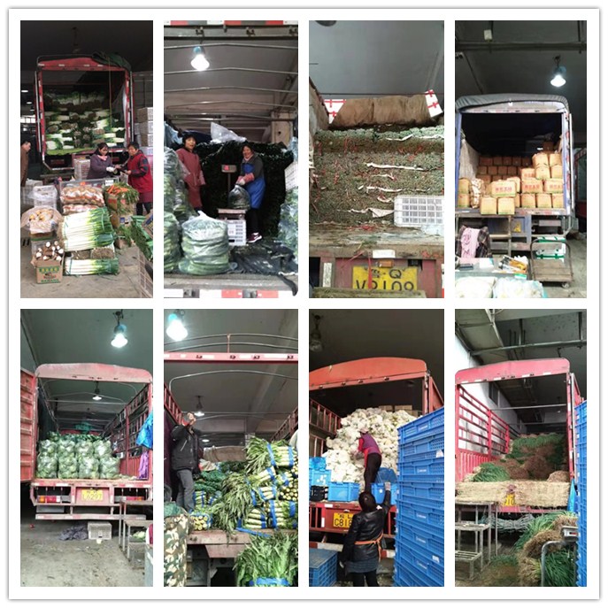 首页| J9集团国际站官方网站