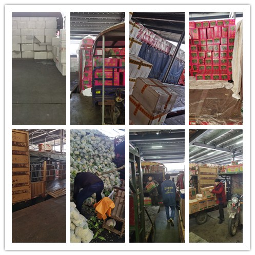 首页| J9集团国际站官方网站