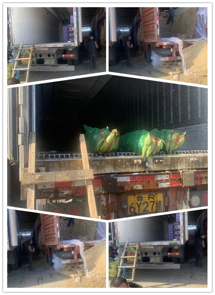 首页| J9集团国际站官方网站