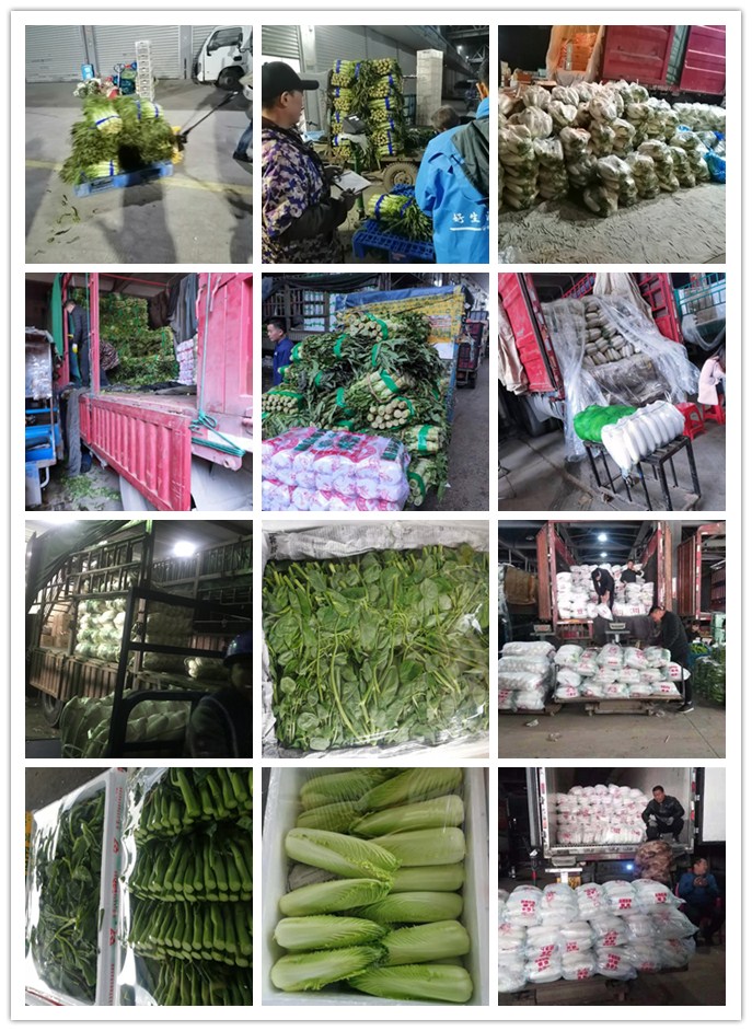 首页| J9集团国际站官方网站