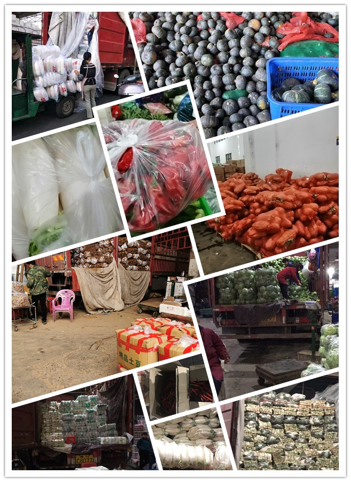 首页| J9集团国际站官方网站