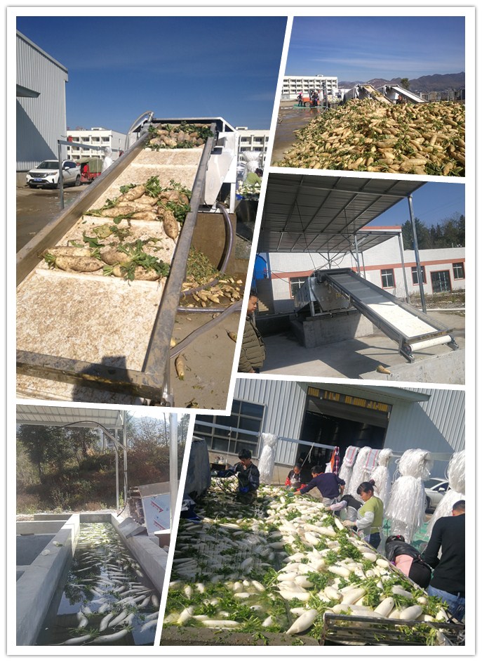 首页| J9集团国际站官方网站