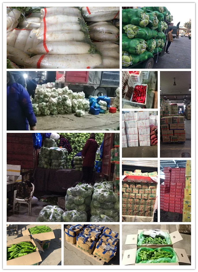 首页| J9集团国际站官方网站