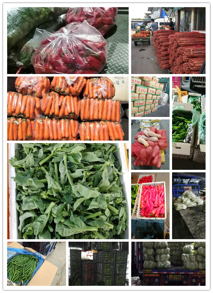 首页| J9集团国际站官方网站