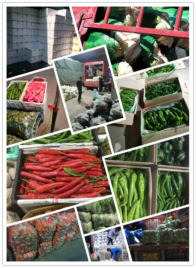 首页| J9集团国际站官方网站