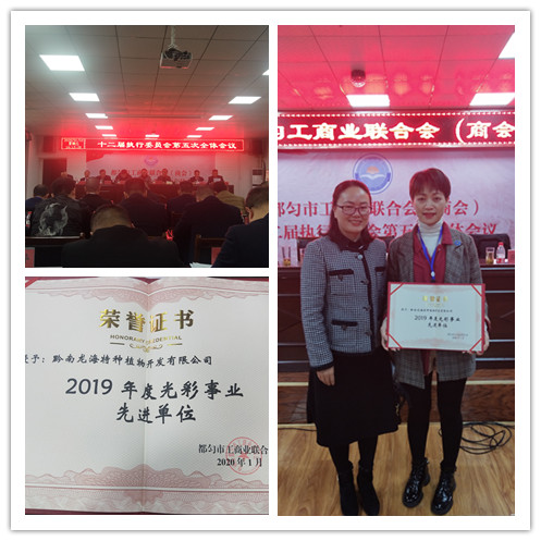 首页| J9集团国际站官方网站