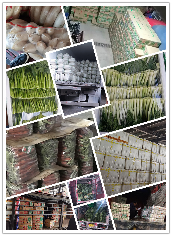 首页| J9集团国际站官方网站