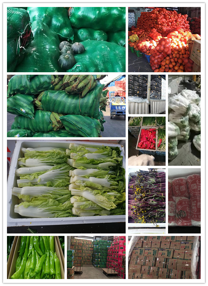 首页| J9集团国际站官方网站