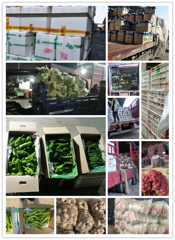 首页| J9集团国际站官方网站