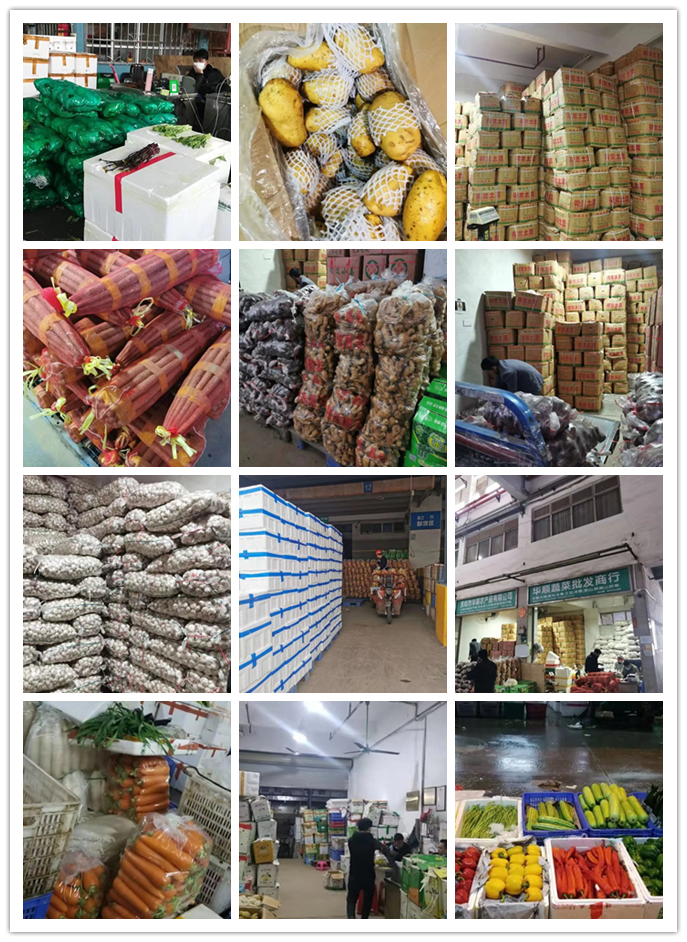 首页| J9集团国际站官方网站