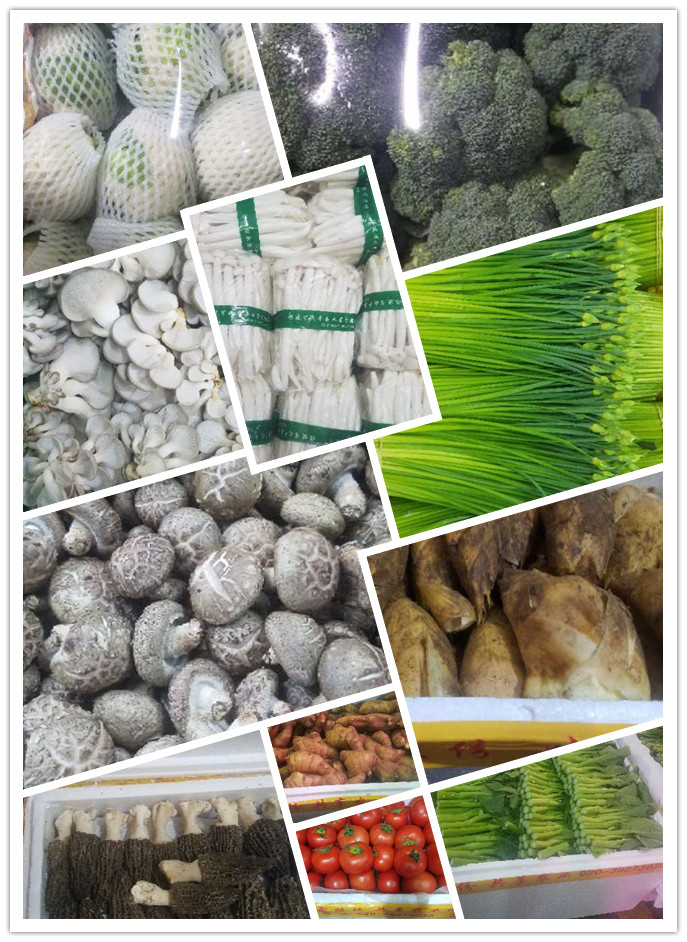 首页| J9集团国际站官方网站