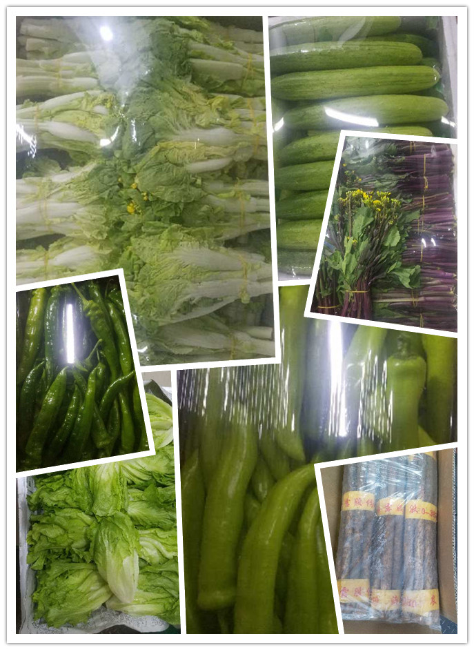 首页| J9集团国际站官方网站