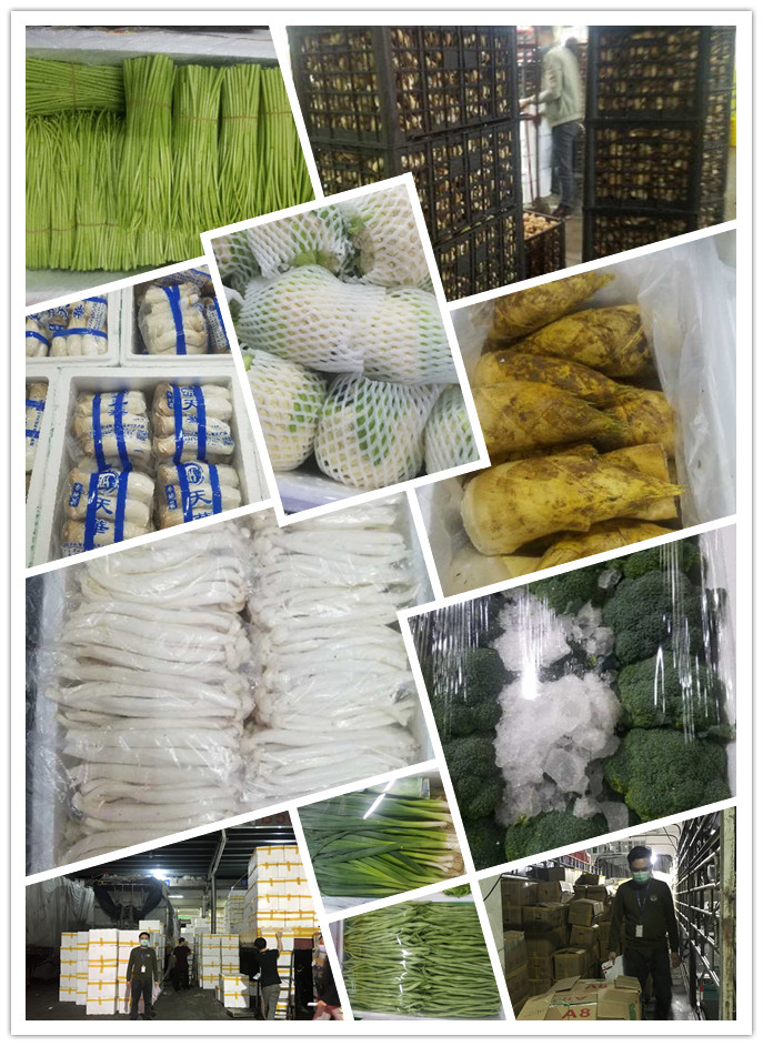 首页| J9集团国际站官方网站