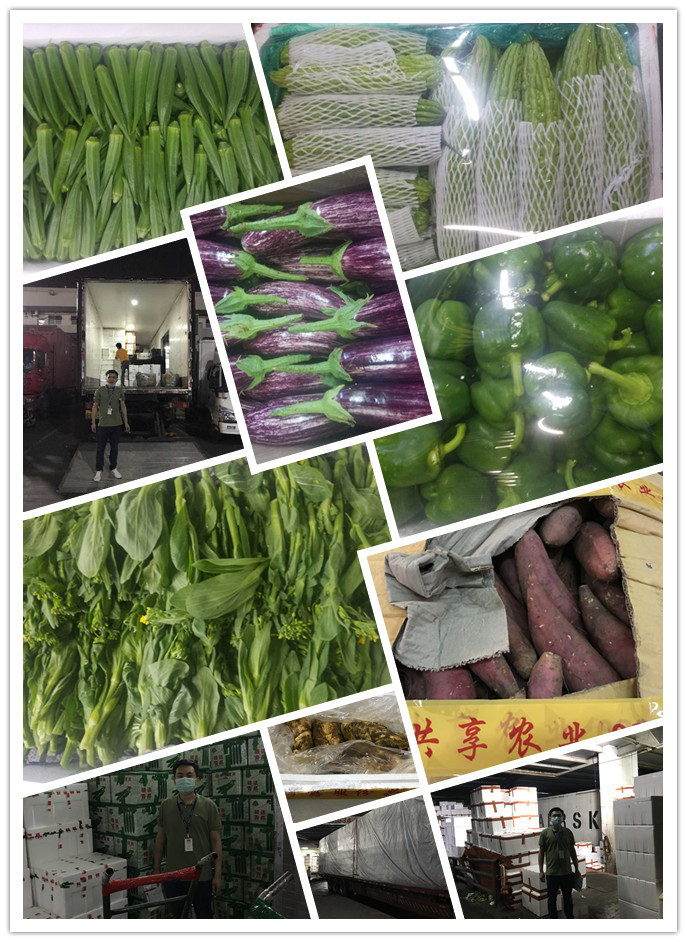 首页| J9集团国际站官方网站