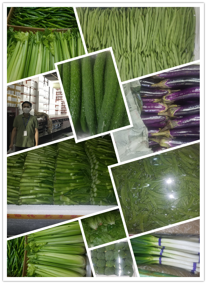 首页| J9集团国际站官方网站