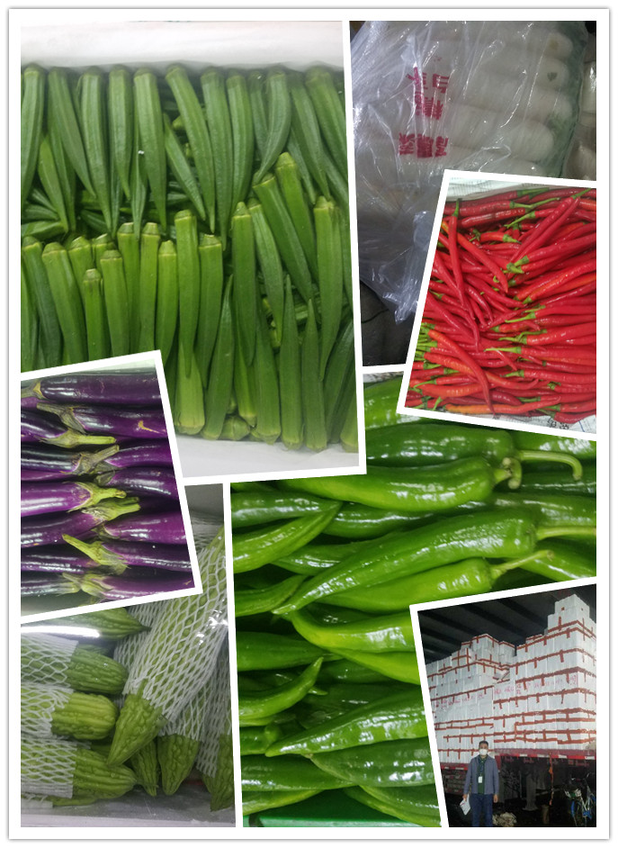 首页| J9集团国际站官方网站