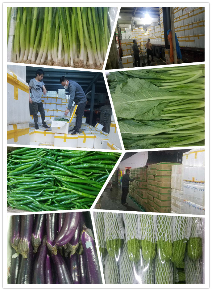 首页| J9集团国际站官方网站