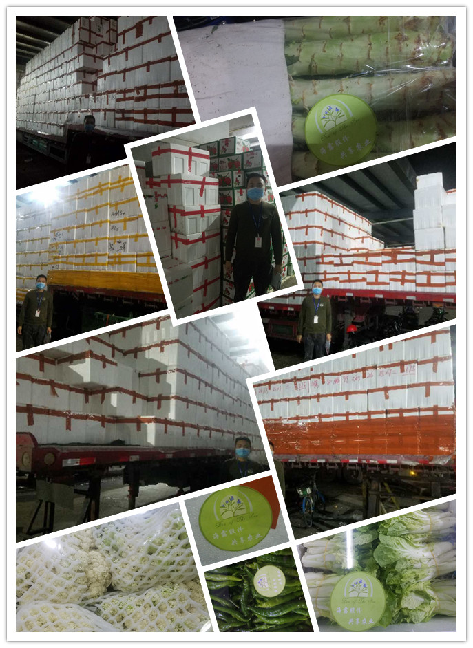 首页| J9集团国际站官方网站