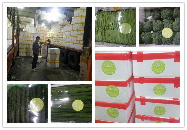 首页| J9集团国际站官方网站