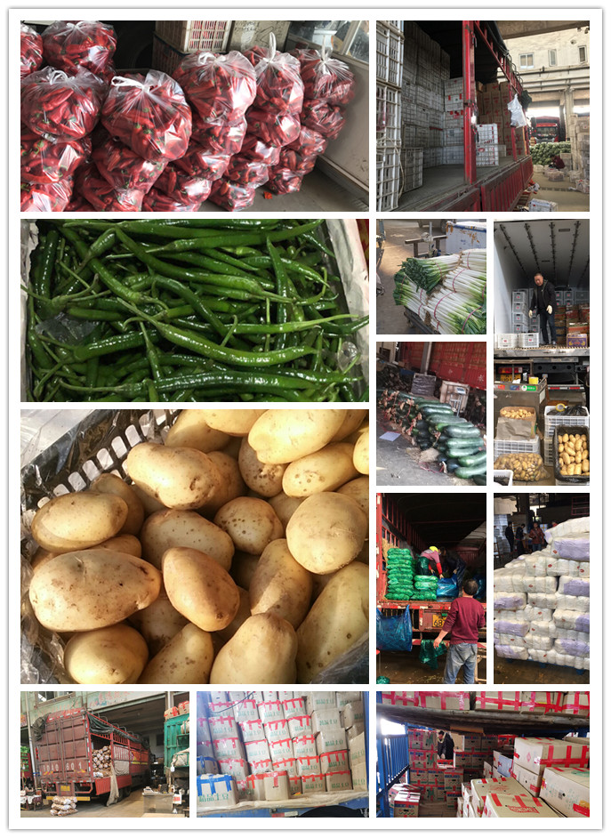 首页| J9集团国际站官方网站