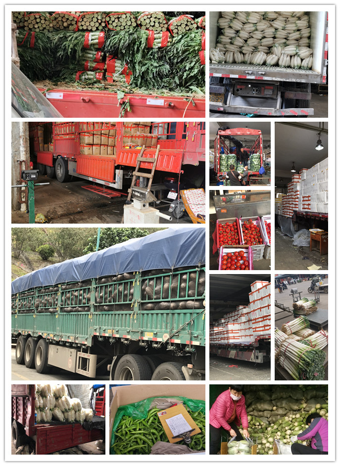 首页| J9集团国际站官方网站