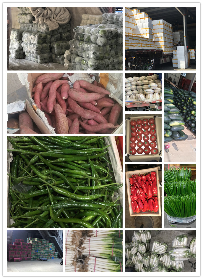 首页| J9集团国际站官方网站