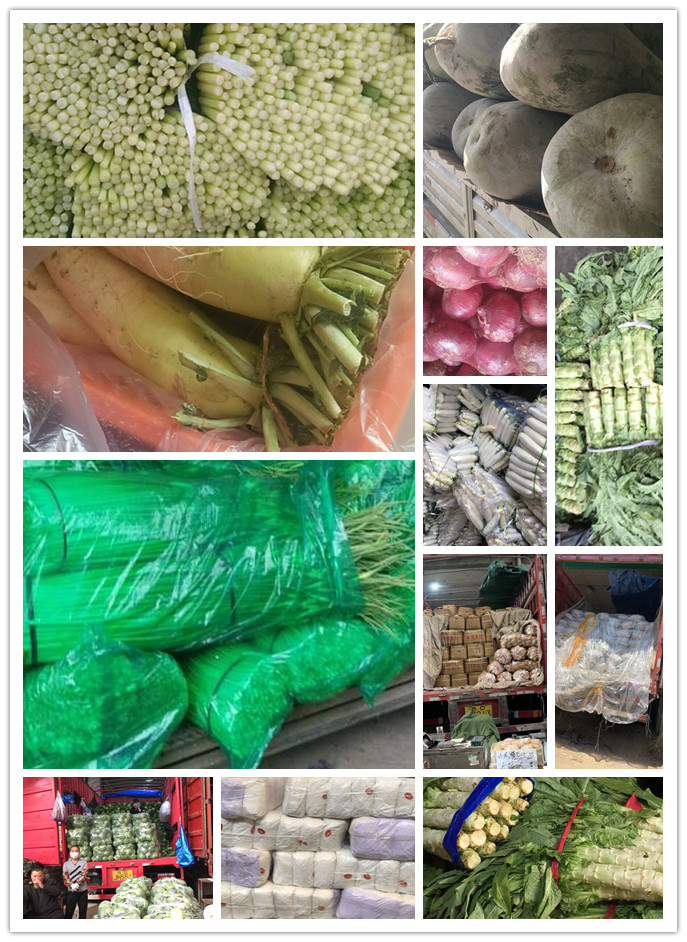 首页| J9集团国际站官方网站