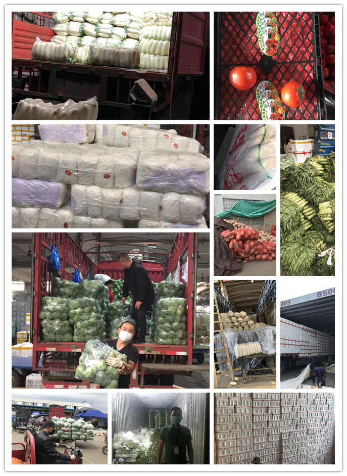 首页| J9集团国际站官方网站