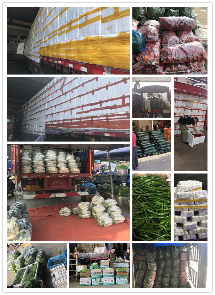 首页| J9集团国际站官方网站