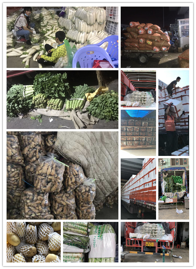 首页| J9集团国际站官方网站