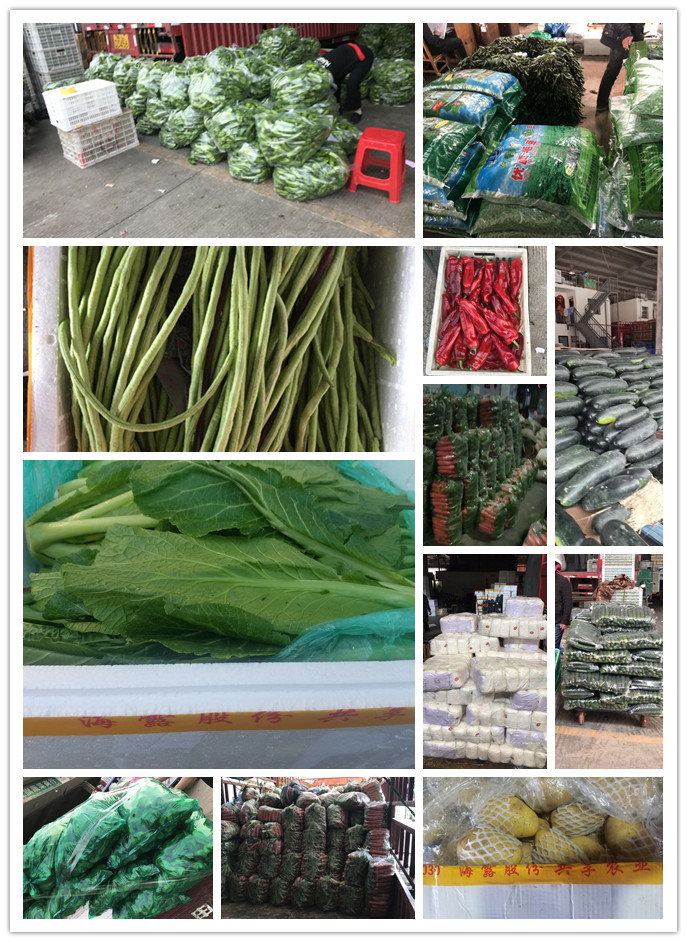 首页| J9集团国际站官方网站