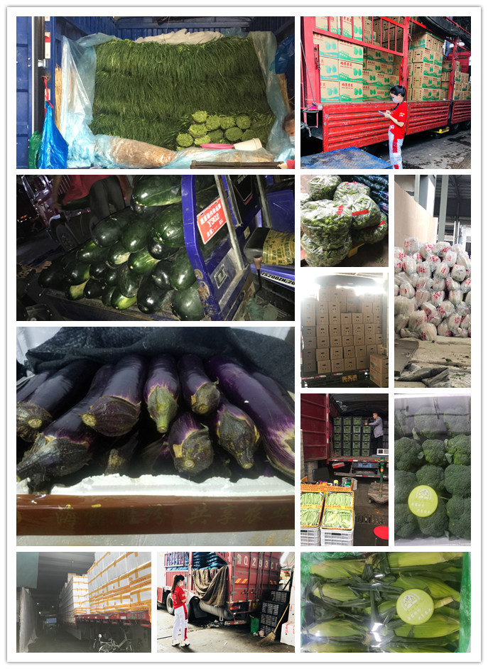 首页| J9集团国际站官方网站