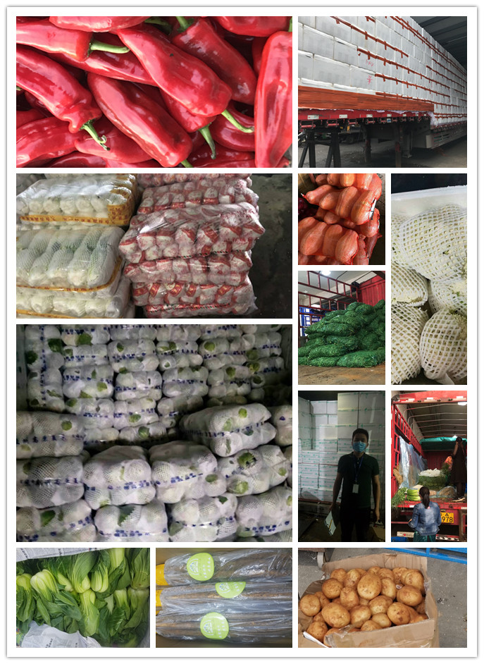 首页| J9集团国际站官方网站