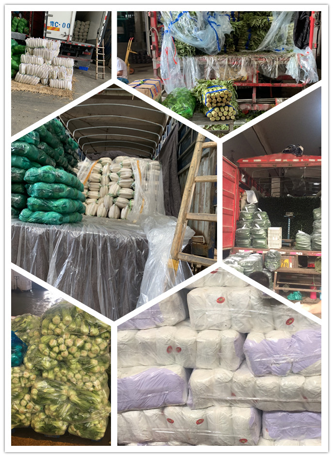 首页| J9集团国际站官方网站