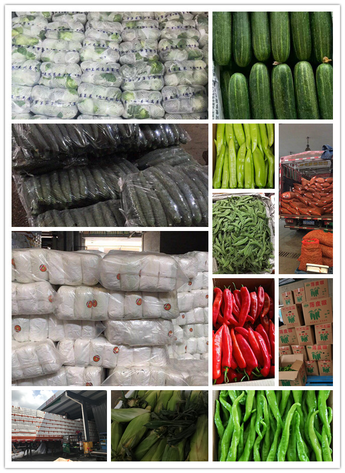 首页| J9集团国际站官方网站