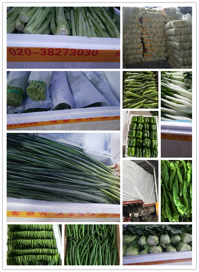 首页| J9集团国际站官方网站