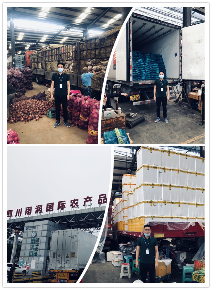 首页| J9集团国际站官方网站