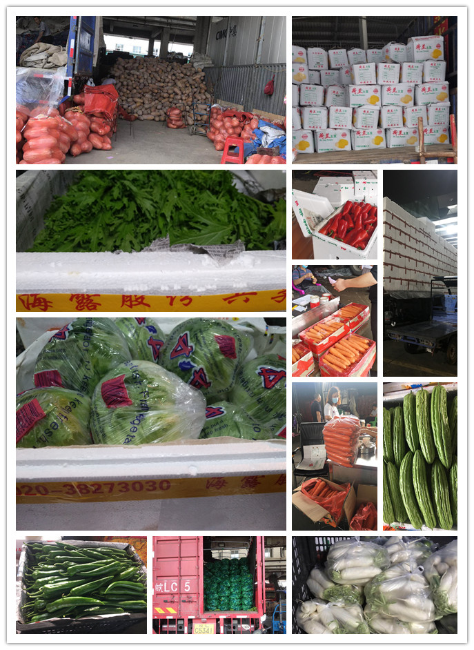 首页| J9集团国际站官方网站