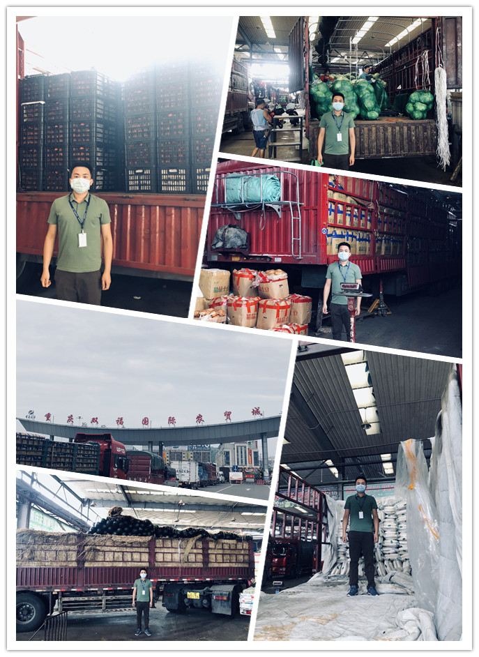 首页| J9集团国际站官方网站