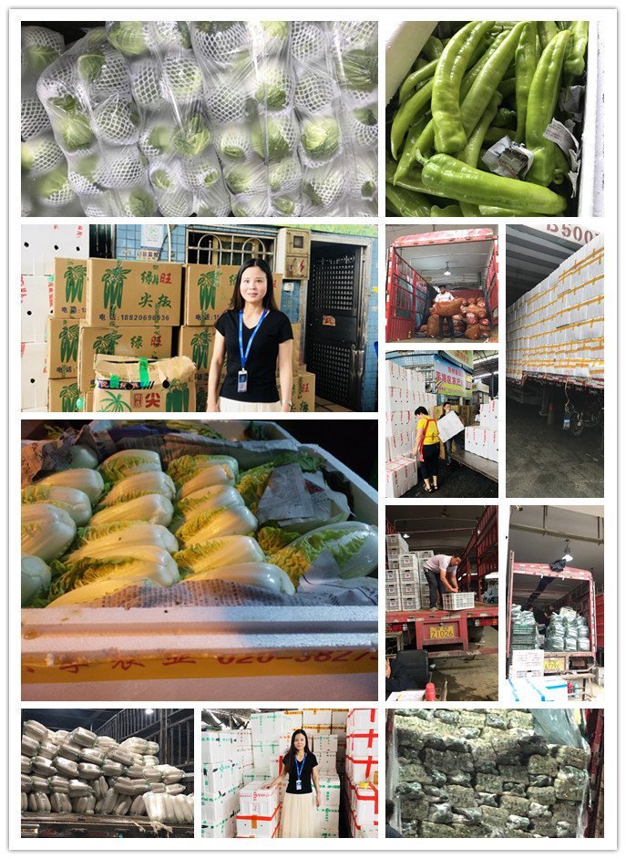 首页| J9集团国际站官方网站